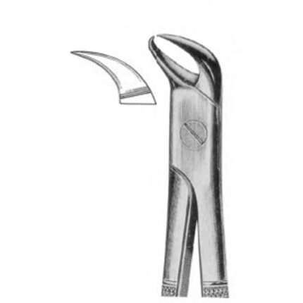 Dental Extraction Forceps
