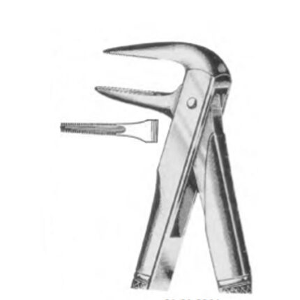 Dental Extraction Forceps