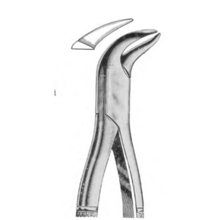 Dental Extraction Forceps